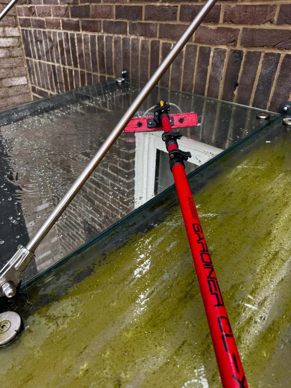Glass balcony balustrade panel completely covered in green algae before cleaning