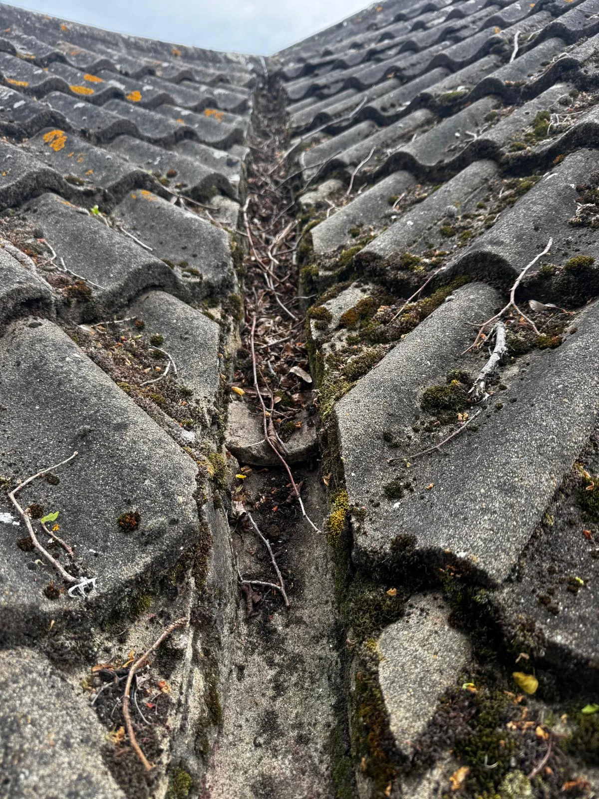 Roof valley completely blocked with moss, dead leaves and twigs before being cleared